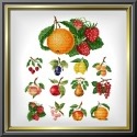 Set "Fruit Coasters" (12 motifs)