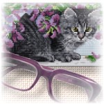 Kitten Eyeglass Cases