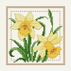 March - Jonquil