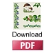 Download PDF