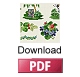 Download PDF